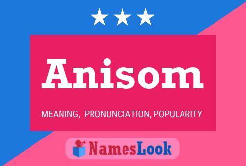 Anisom Name Poster