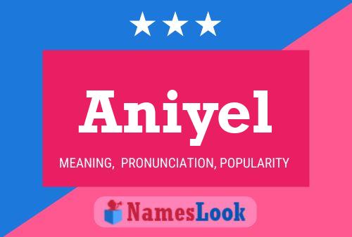 Aniyel Name Poster