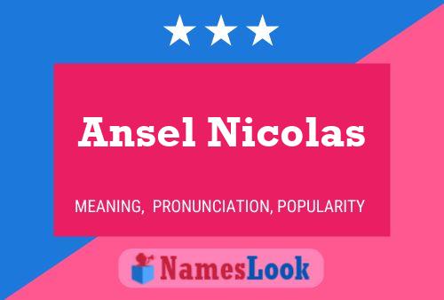 Ansel Nicolas Name Poster