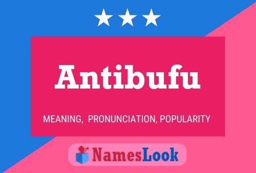 Antibufu Name Poster