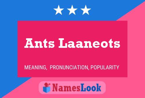 Ants Laaneots Name Poster