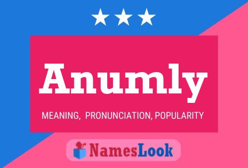 Anumly Name Poster