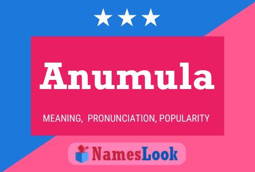 Anumula Name Poster