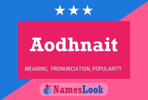 Aodhnait Name Poster