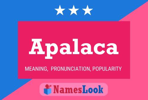 Apalaca Name Poster