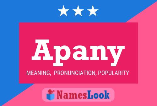 Apany Name Poster