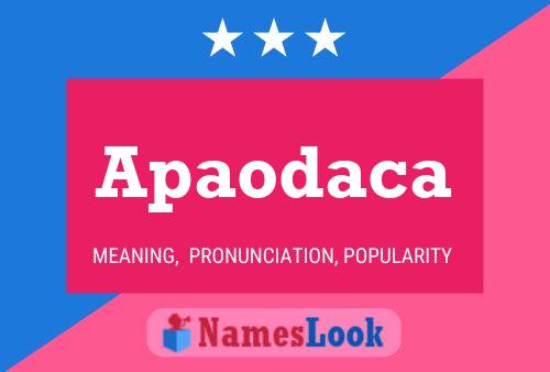 Apaodaca Name Poster