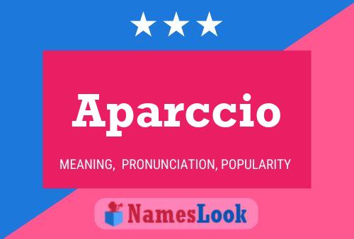 Aparccio Name Poster