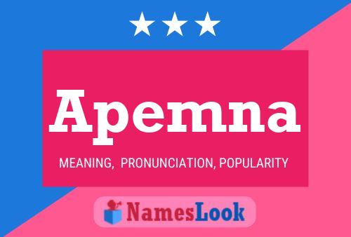 Apemna Name Poster