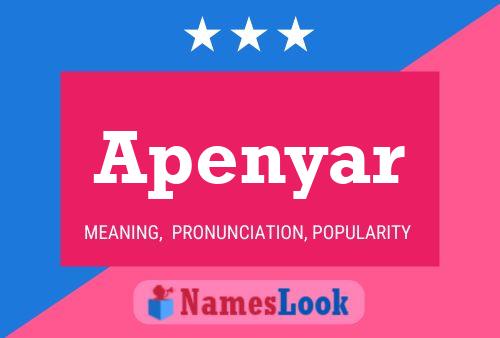 Apenyar Name Poster