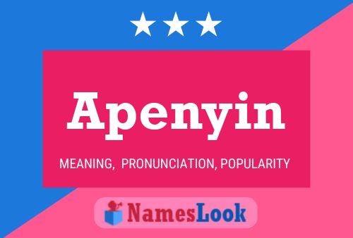 Apenyin Name Poster