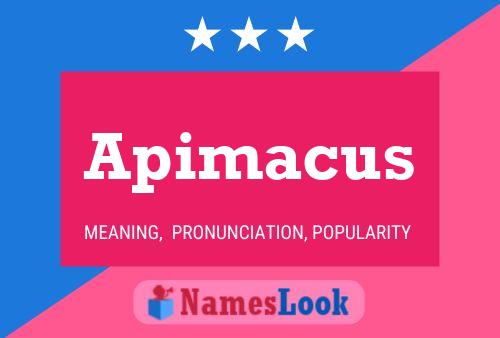 Apimacus Name Poster