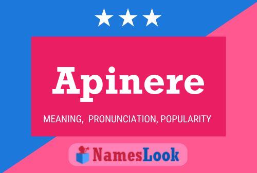 Apinere Name Poster