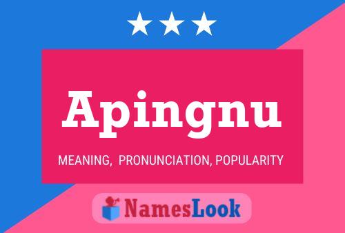 Apingnu Name Poster