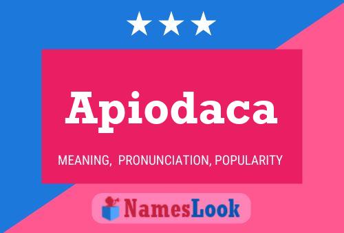 Apiodaca Name Poster