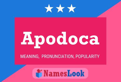 Apodoca Name Poster