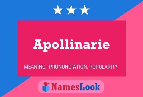 Apollinarie Name Poster