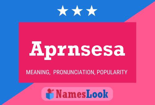 Aprnsesa Name Poster