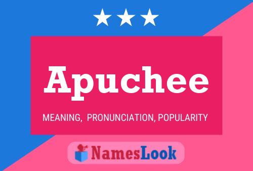 Apuchee Name Poster