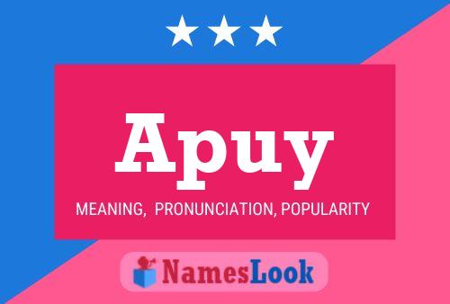 Apuy Name Poster