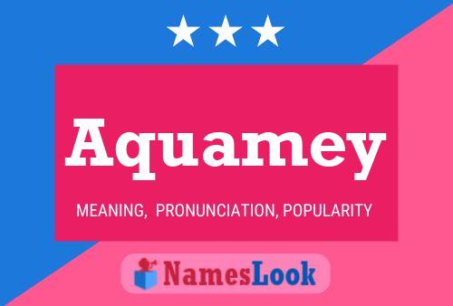 Aquamey Name Poster