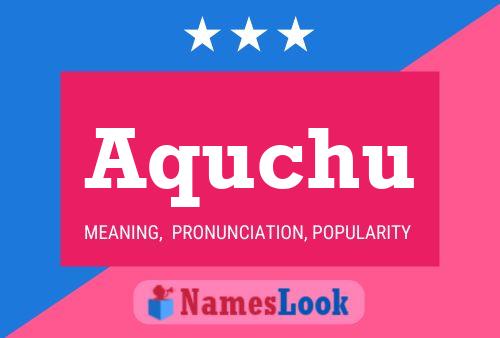 Aquchu Name Poster