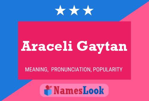 Araceli Gaytan Name Poster