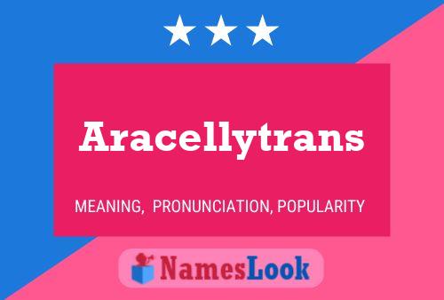 Aracellytrans Name Poster