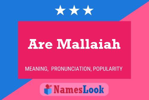 Are Mallaiah Name Poster