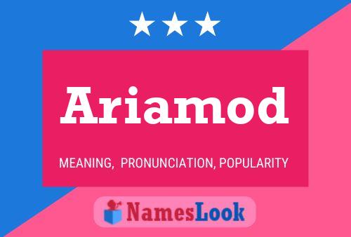 Ariamod Name Poster