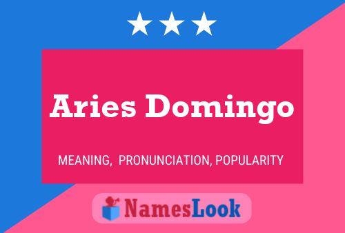 Aries Domingo Name Poster