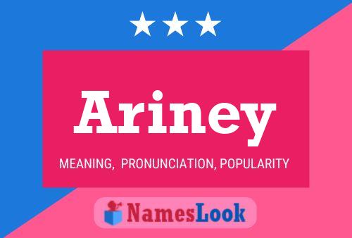 Ariney Name Poster