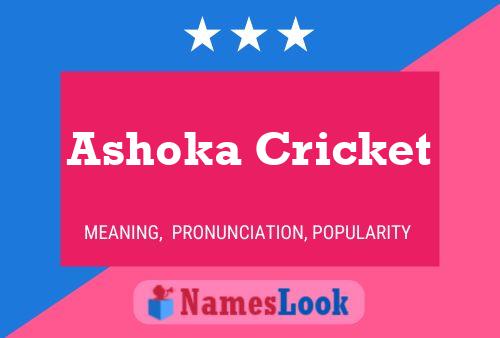 Ashoka Cricket Name Poster