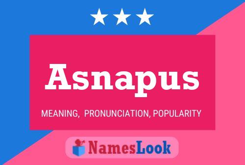 Asnapus Name Poster