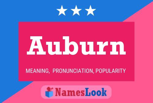 Auburn Name Poster