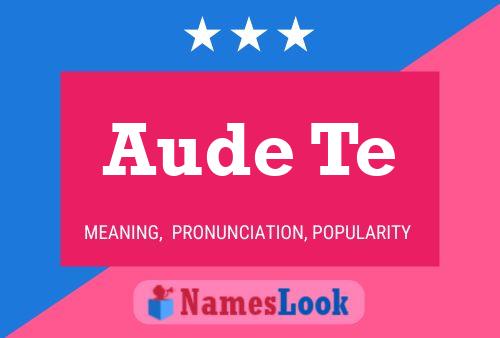 Aude Te Name Poster