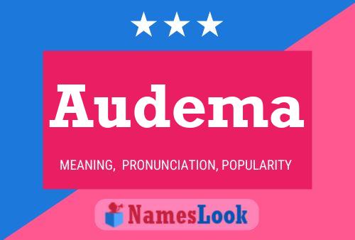 Audema Name Poster