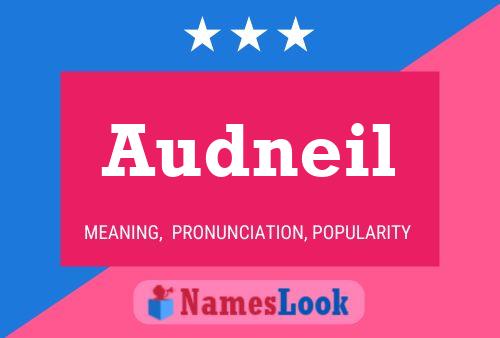 Audneil Name Poster