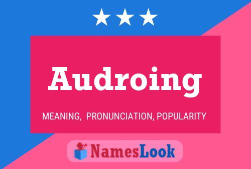 Audroing Name Poster