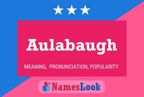 Aulabaugh Name Poster