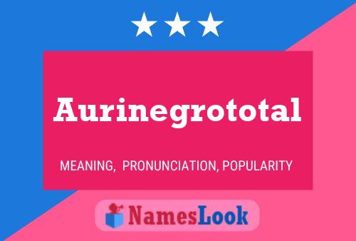 Aurinegrototal Name Poster