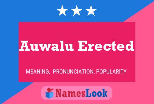 Auwalu Erected Name Poster