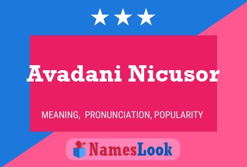 Avadani Nicusor Name Poster