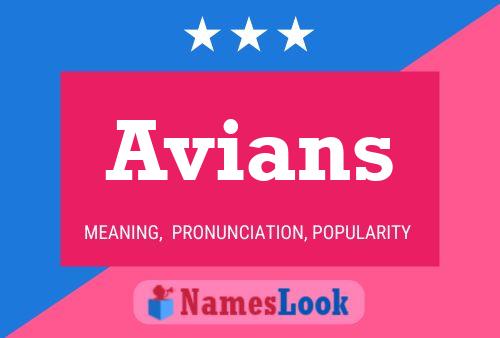 Avians Name Poster