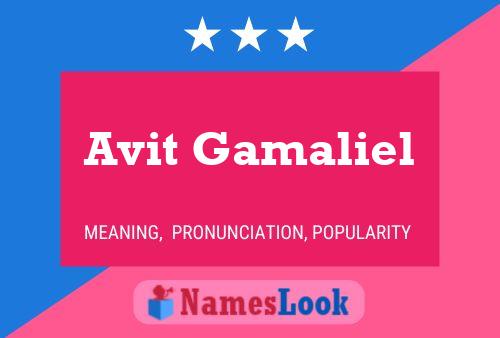 Avit Gamaliel Name Poster