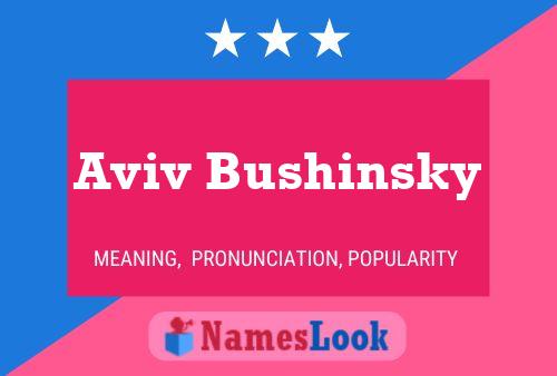 Aviv Bushinsky Name Poster