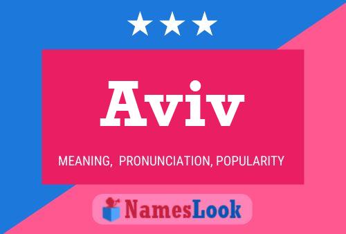 Aviv Name Poster