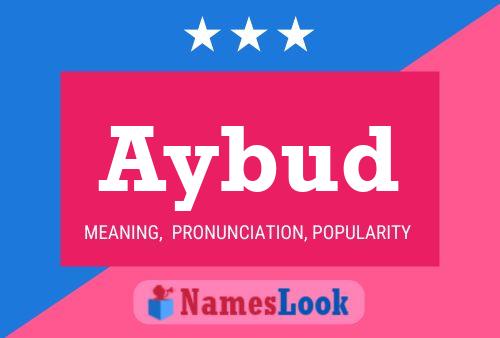 Aybud Name Poster