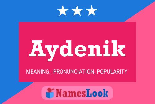 Aydenik Name Poster