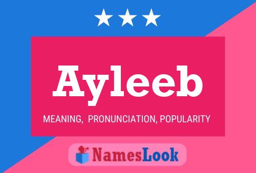 Ayleeb Name Poster